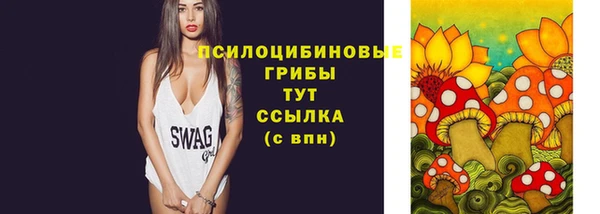 мдпв Семикаракорск