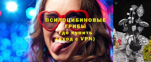 хмурый Абинск