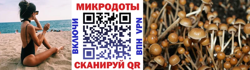МЕГА как войти Калач Галлюциногенные грибы Magic Shrooms